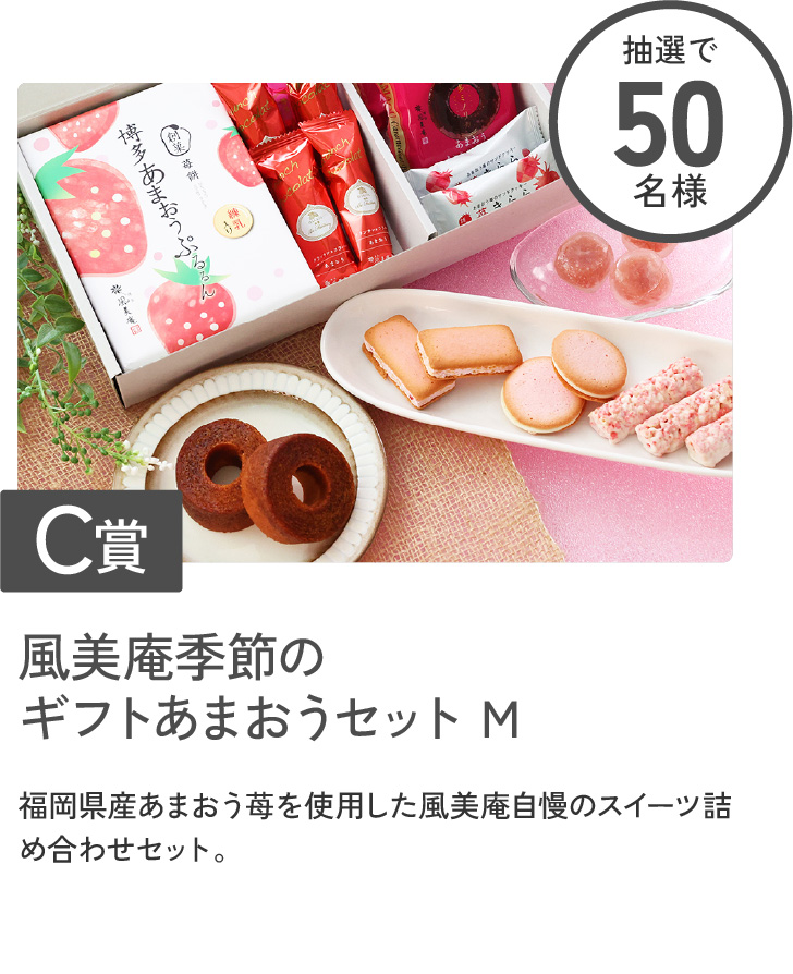 プレゼント画像3