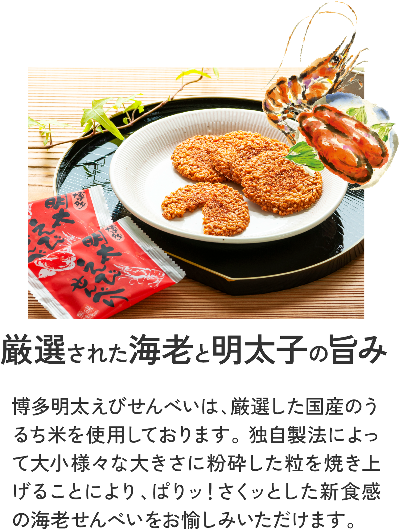 商品紹介01